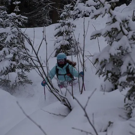 Kroell アパート *